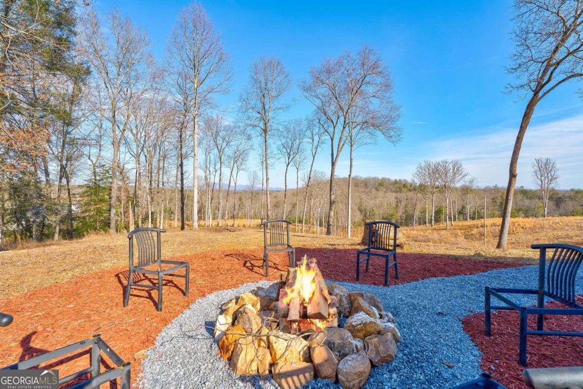 187 Briar Woods Lane Blue Ridge - Photo 54