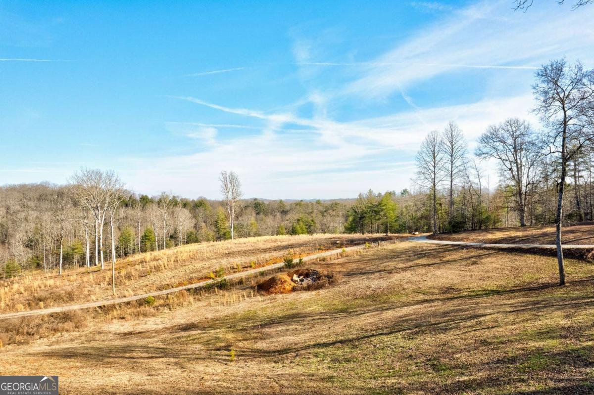 187 Briar Woods Lane Blue Ridge - Photo 59