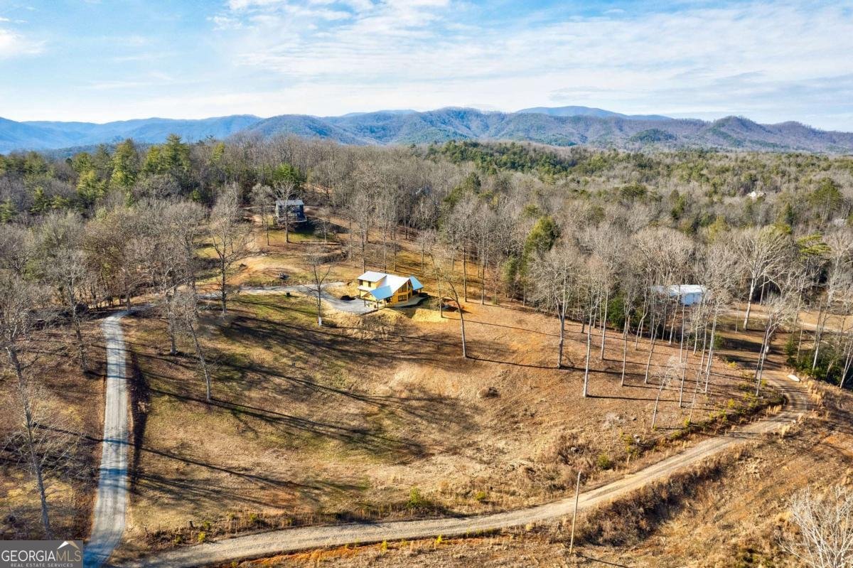 187 Briar Woods Lane Blue Ridge - Photo 62