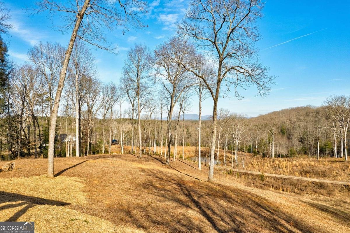 187 Briar Woods Lane Blue Ridge - Photo 7