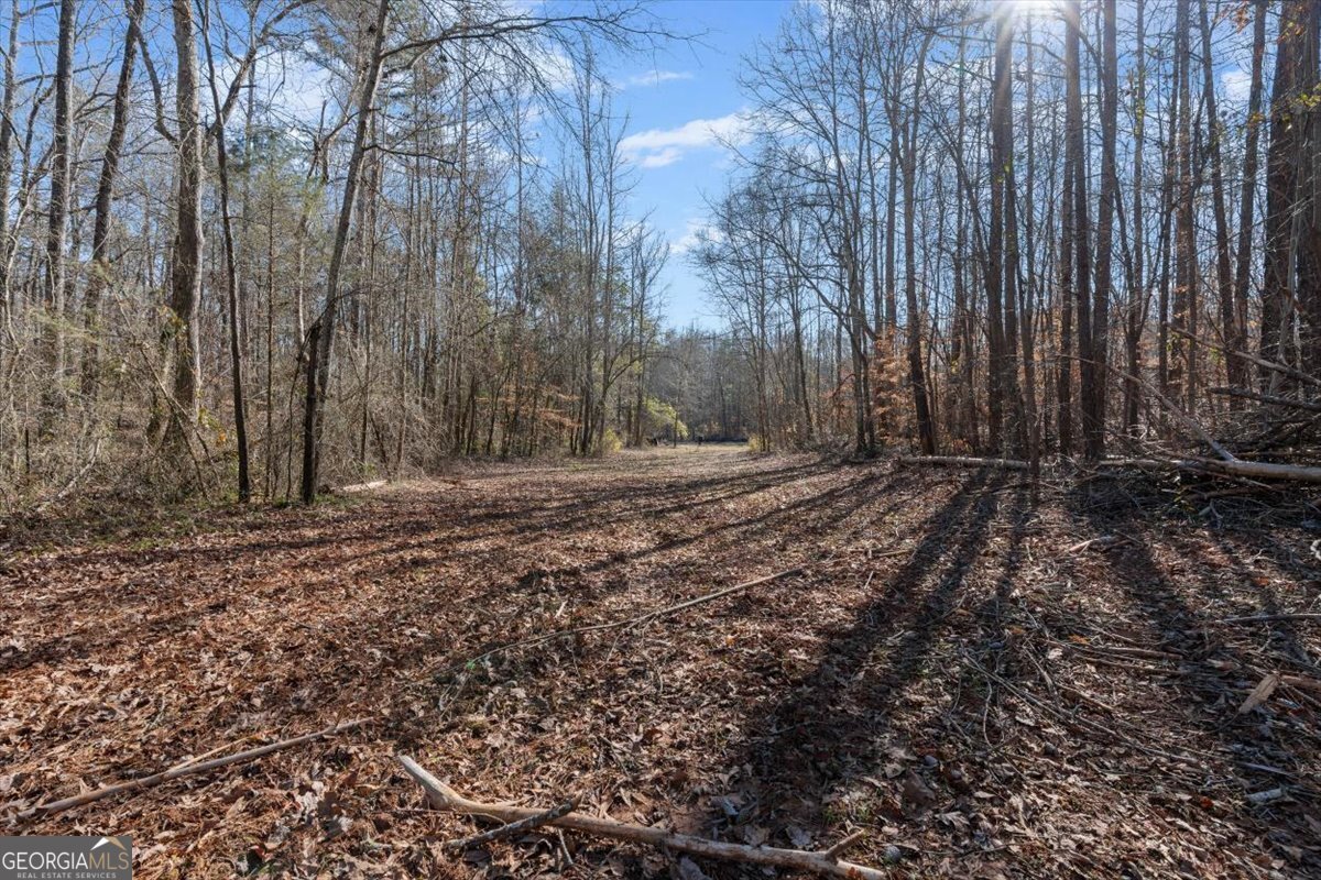 80 Hand Road Bowdon - Photo 40