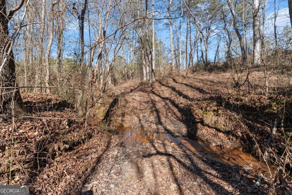 80 Hand Road Bowdon - Photo 55