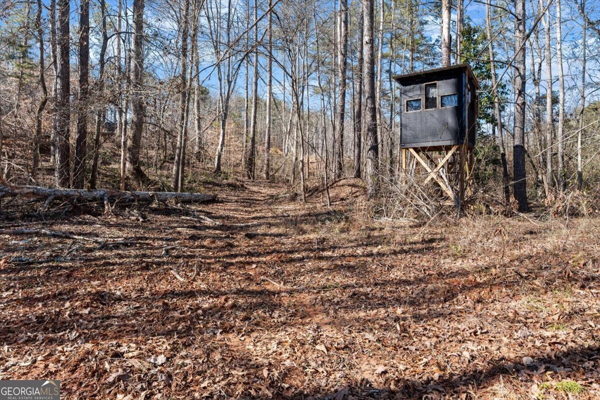 80 Hand Road Bowdon - Photo 57