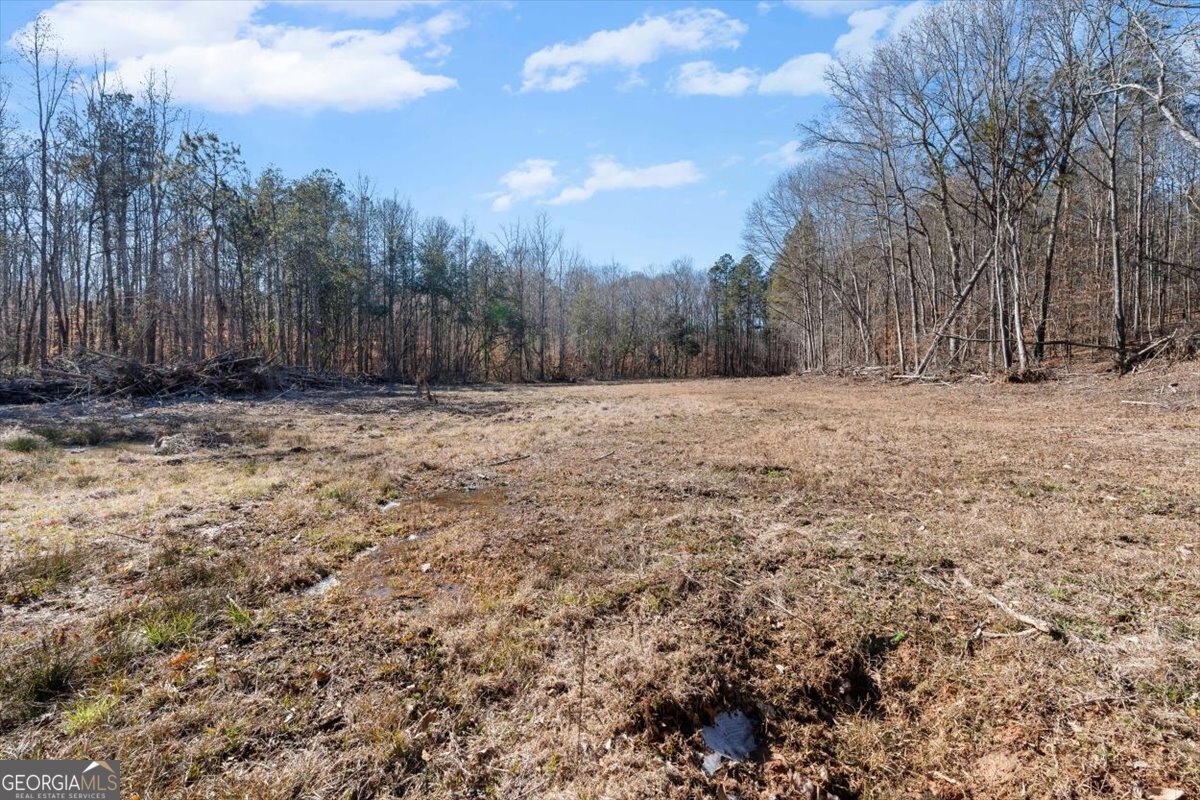 80 Hand Road Bowdon - Photo 65