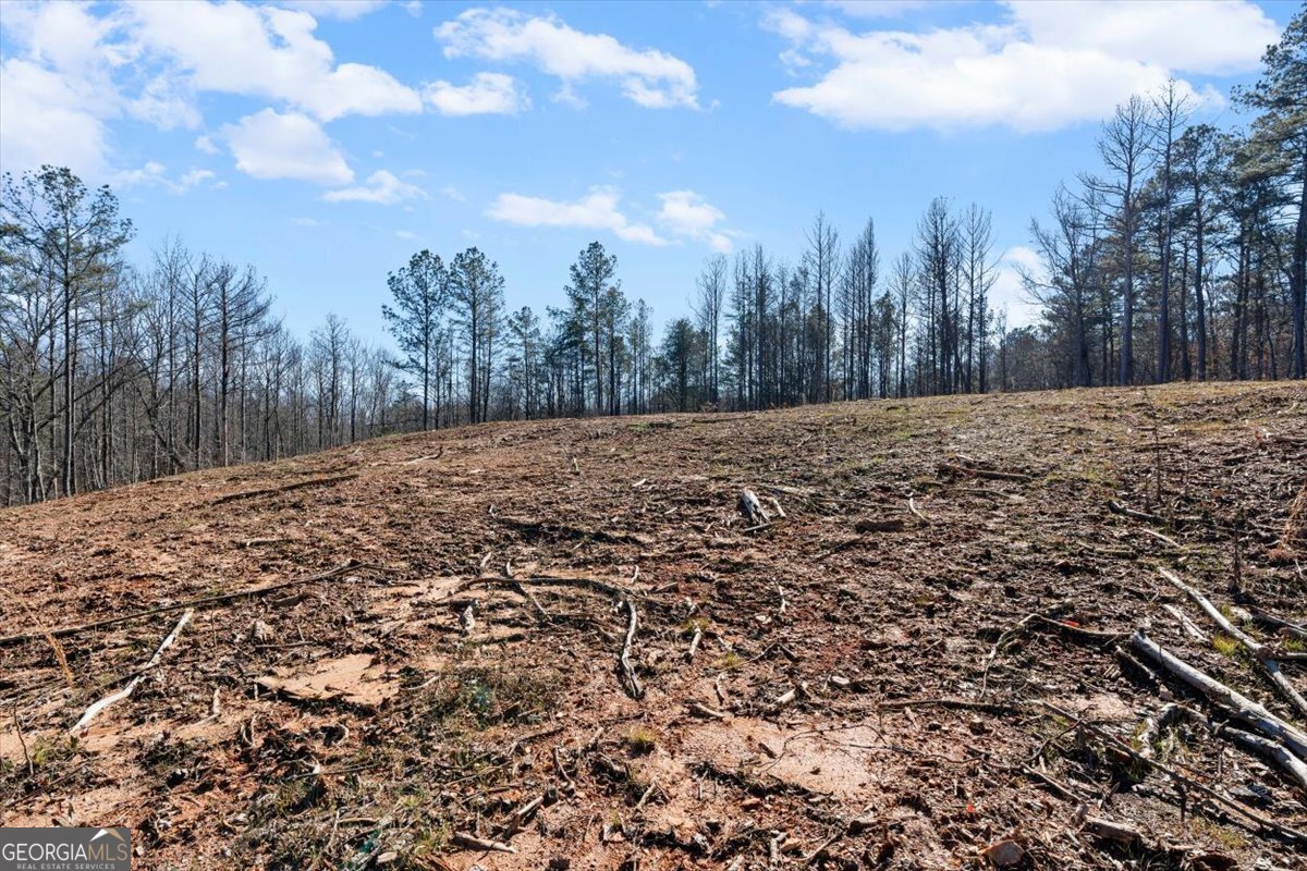 80 Hand Road Bowdon - Photo 67