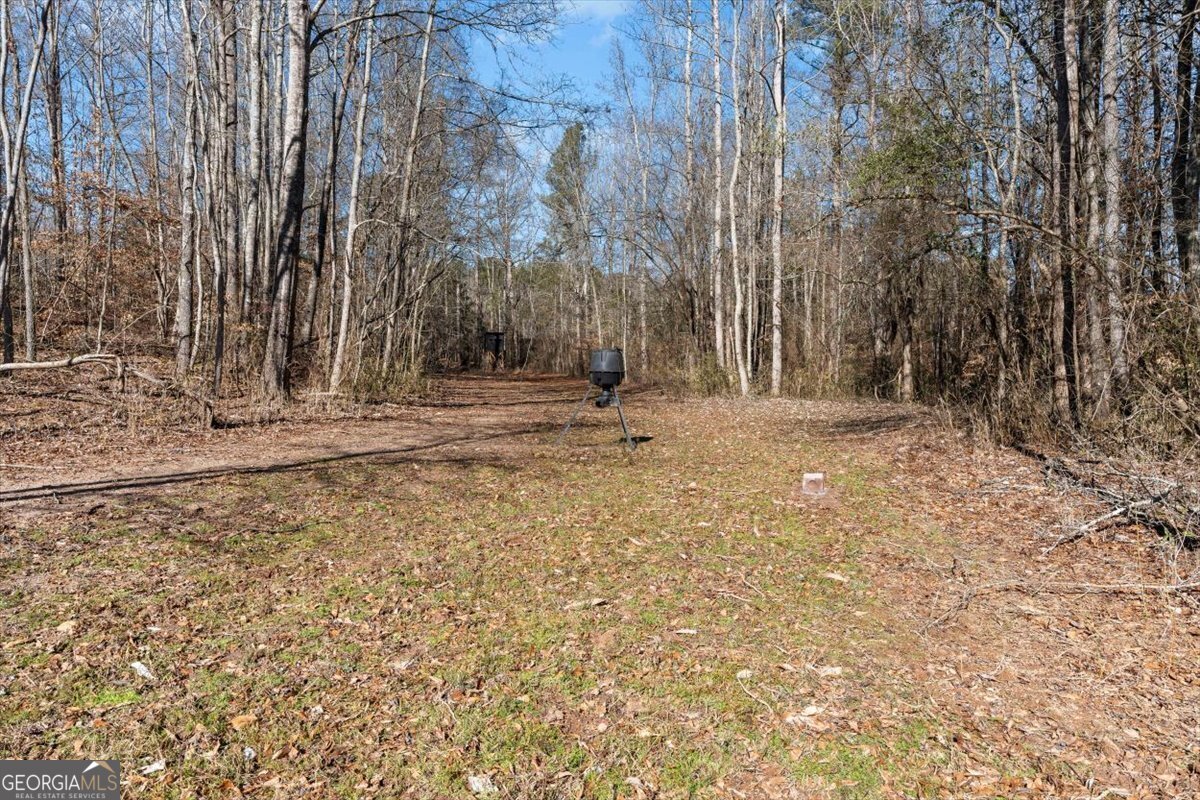 80 Hand Road Bowdon - Photo 68