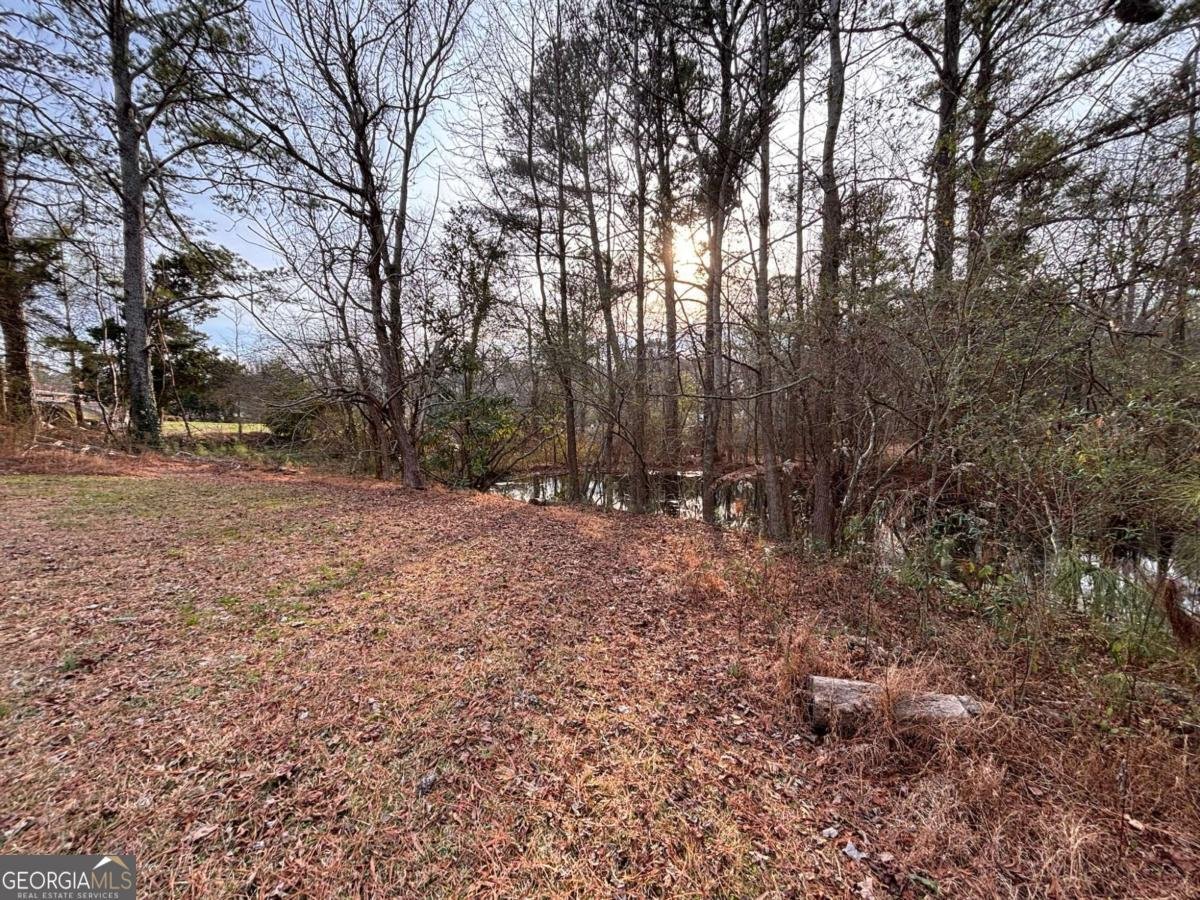 163 Walker Road Cartersville - Photo 38