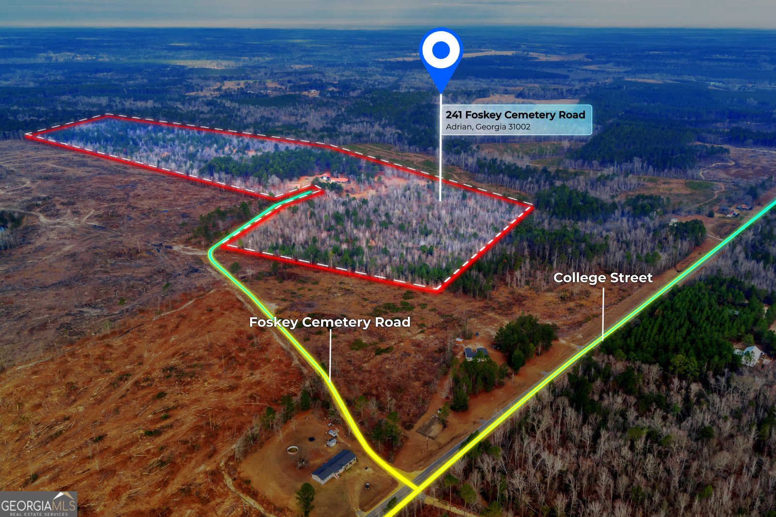 241 Foskey Cemetary Road Adrian - Photo 1