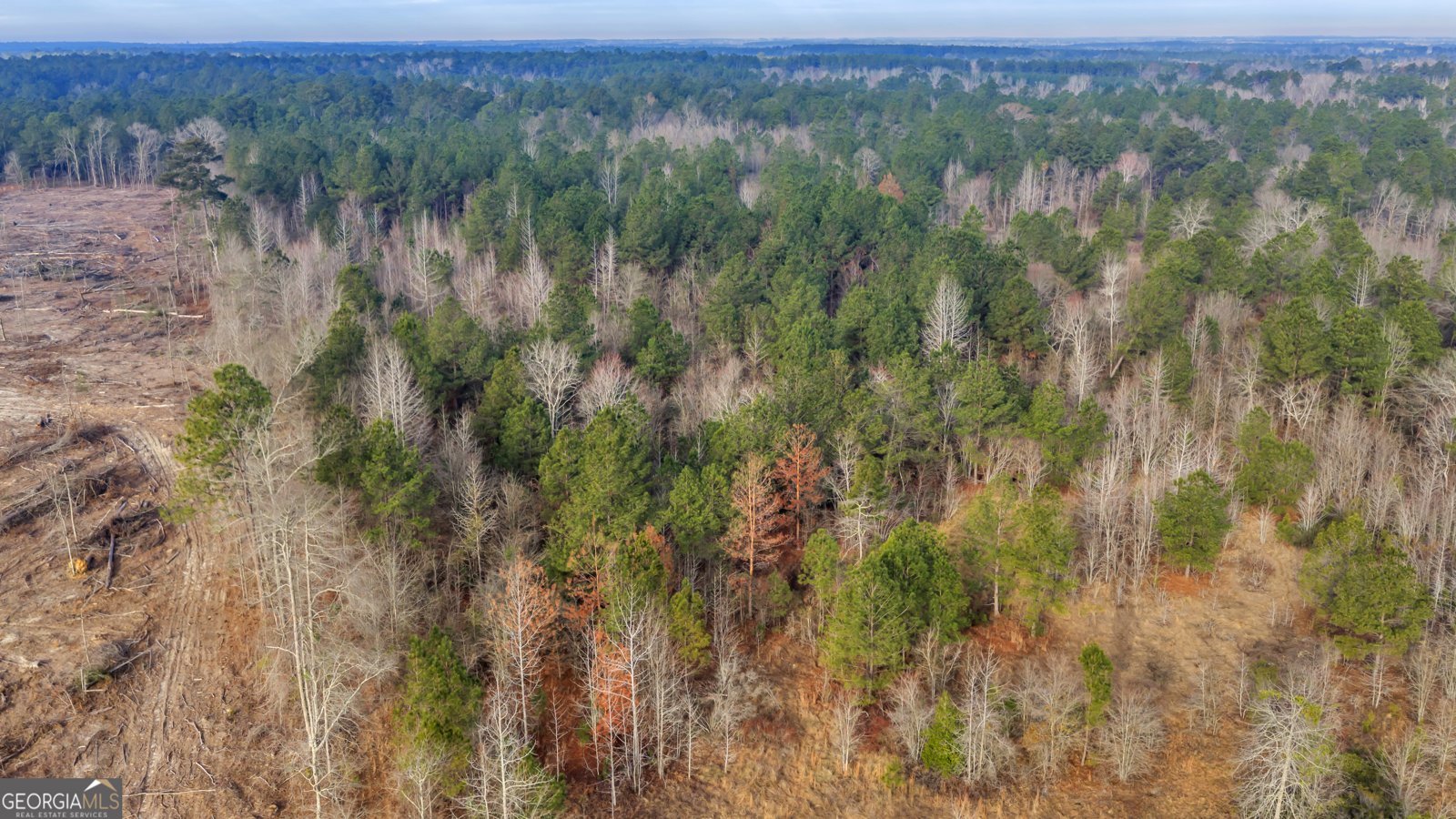 241 Foskey Cemetary Road Adrian - Photo 64