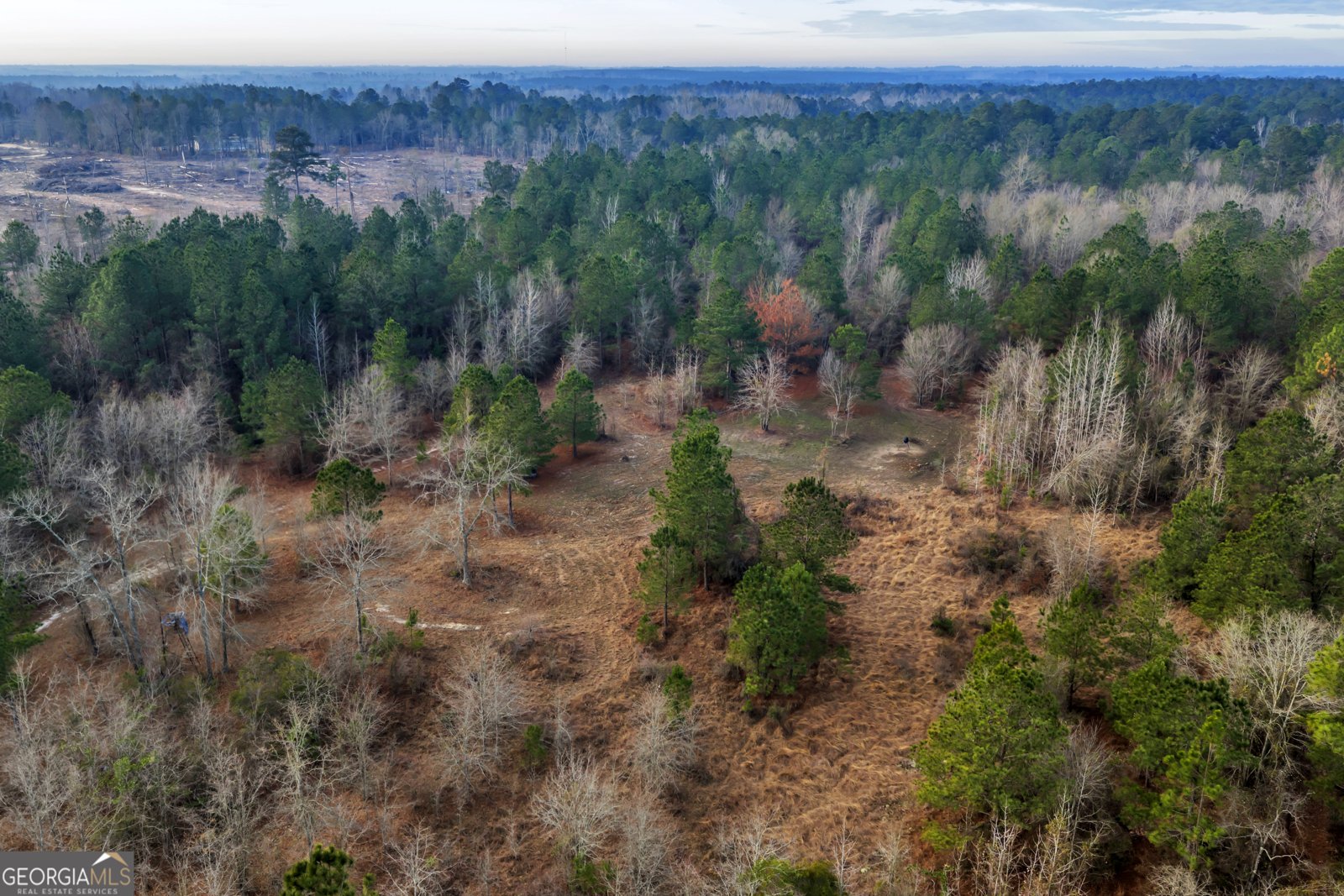 241 Foskey Cemetary Road Adrian - Photo 71