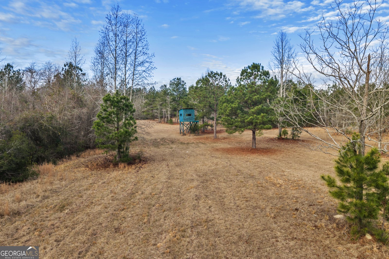 241 Foskey Cemetary Road Adrian - Photo 72