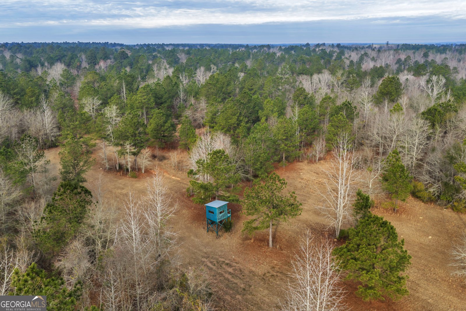 241 Foskey Cemetary Road Adrian - Photo 73