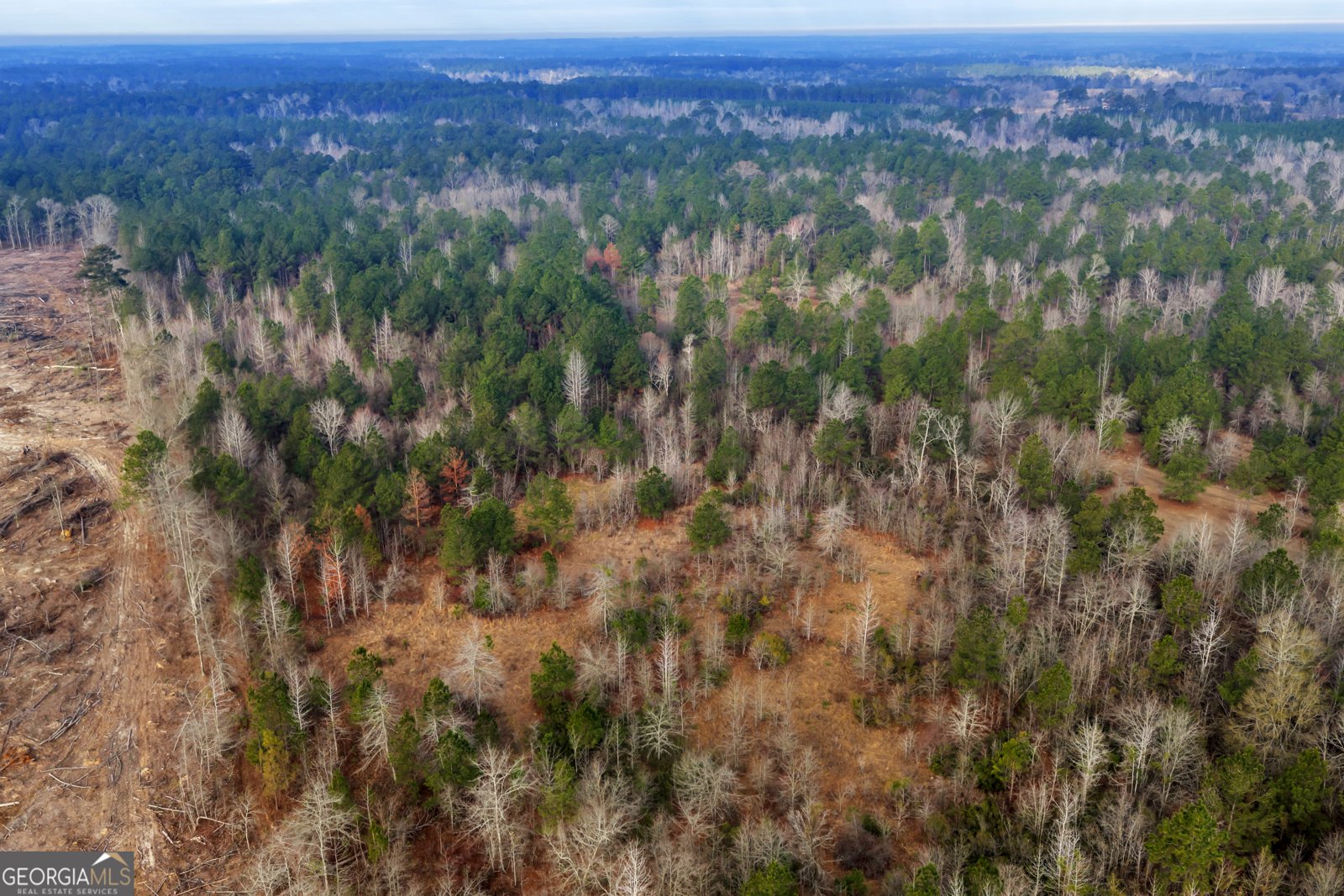 241 Foskey Cemetary Road Adrian - Photo 75