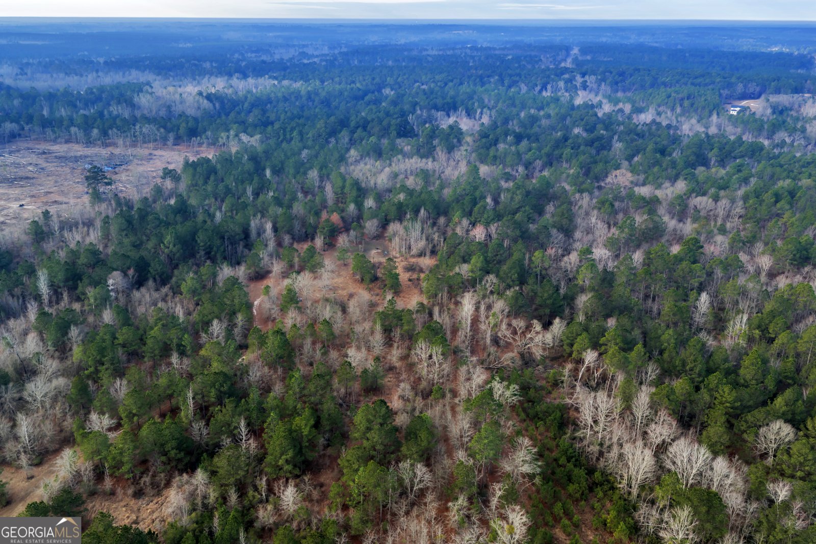 241 Foskey Cemetary Road Adrian - Photo 76