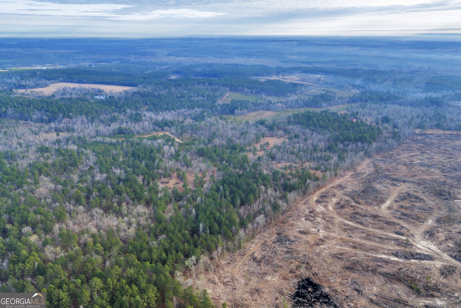 241 Foskey Cemetary Road Adrian - Photo 79