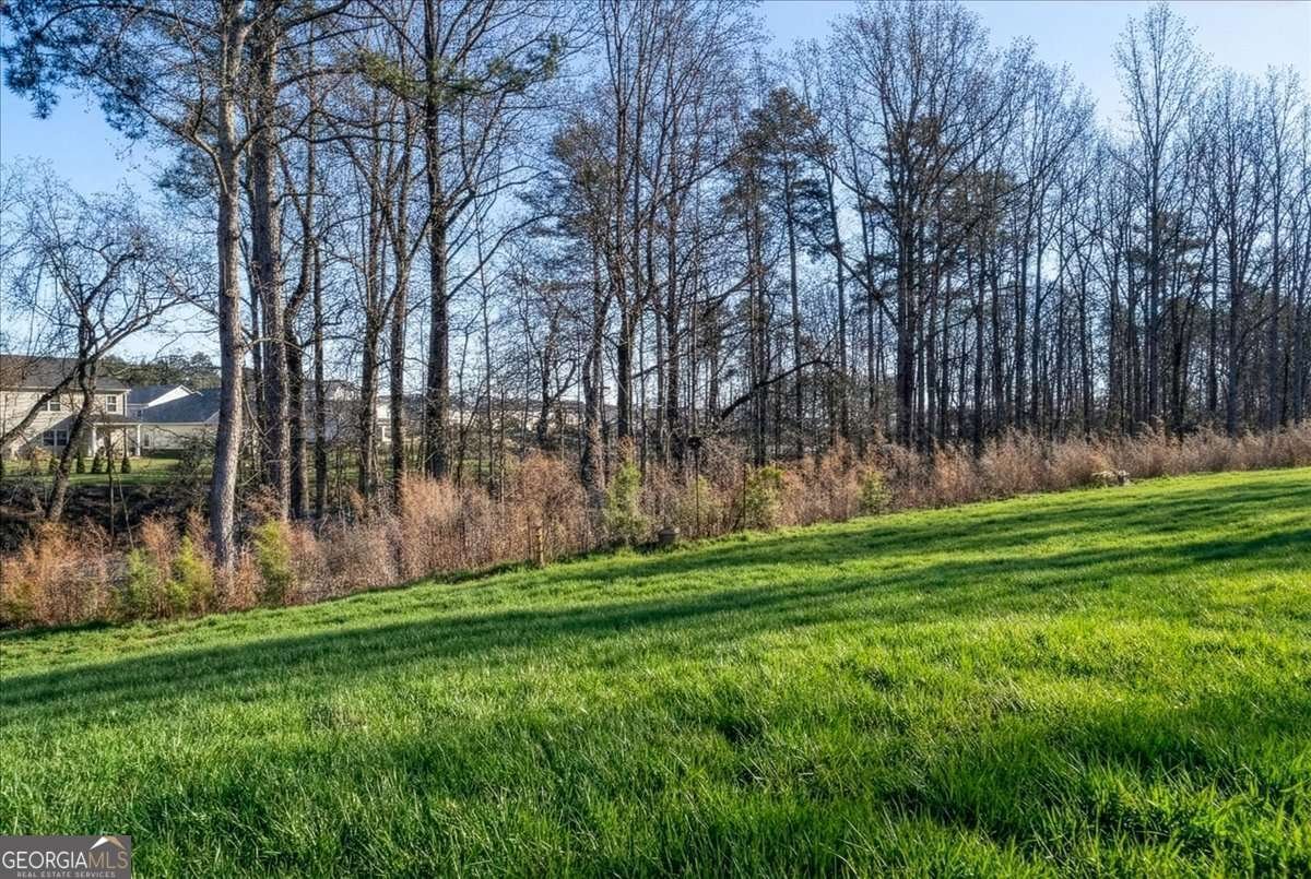 188 Canyon Ferry Way Hoschton - Photo 41