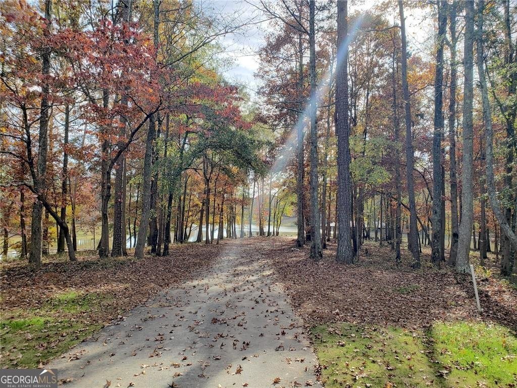 188 Canyon Ferry Way Hoschton - Photo 65