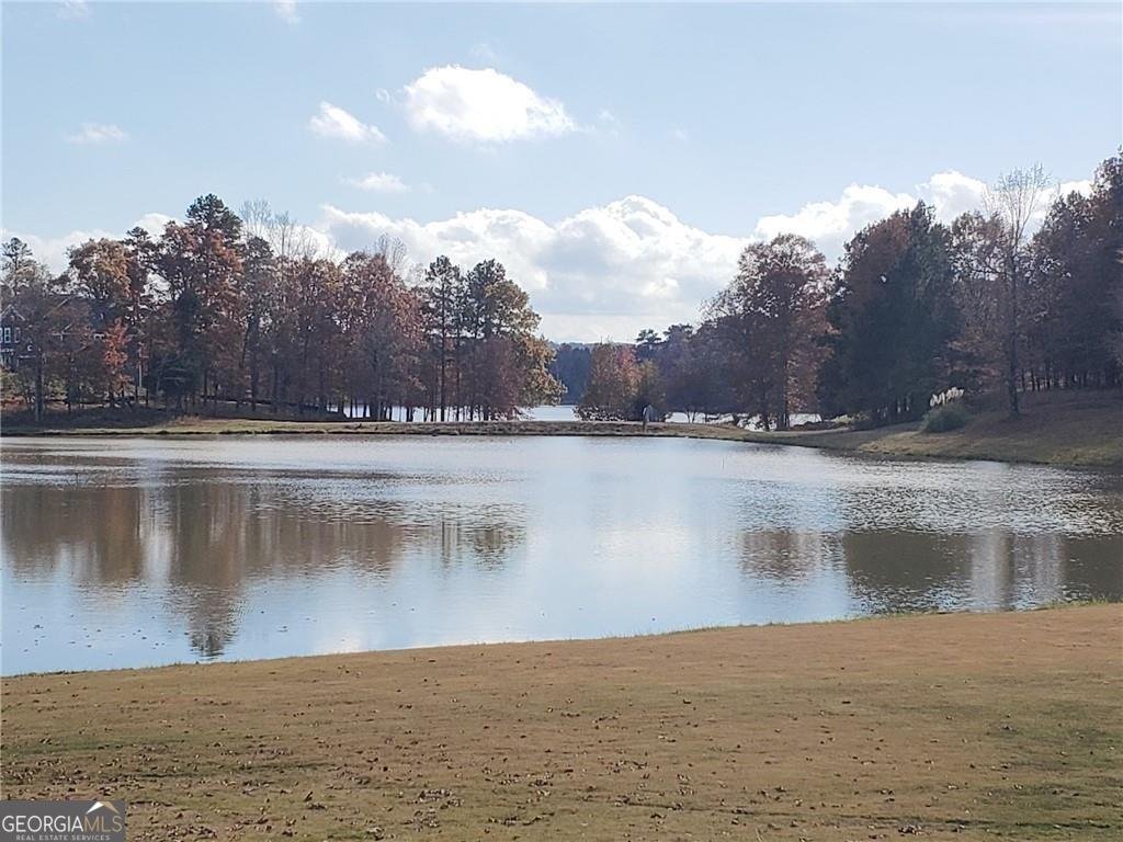 188 Canyon Ferry Way Hoschton - Photo 66