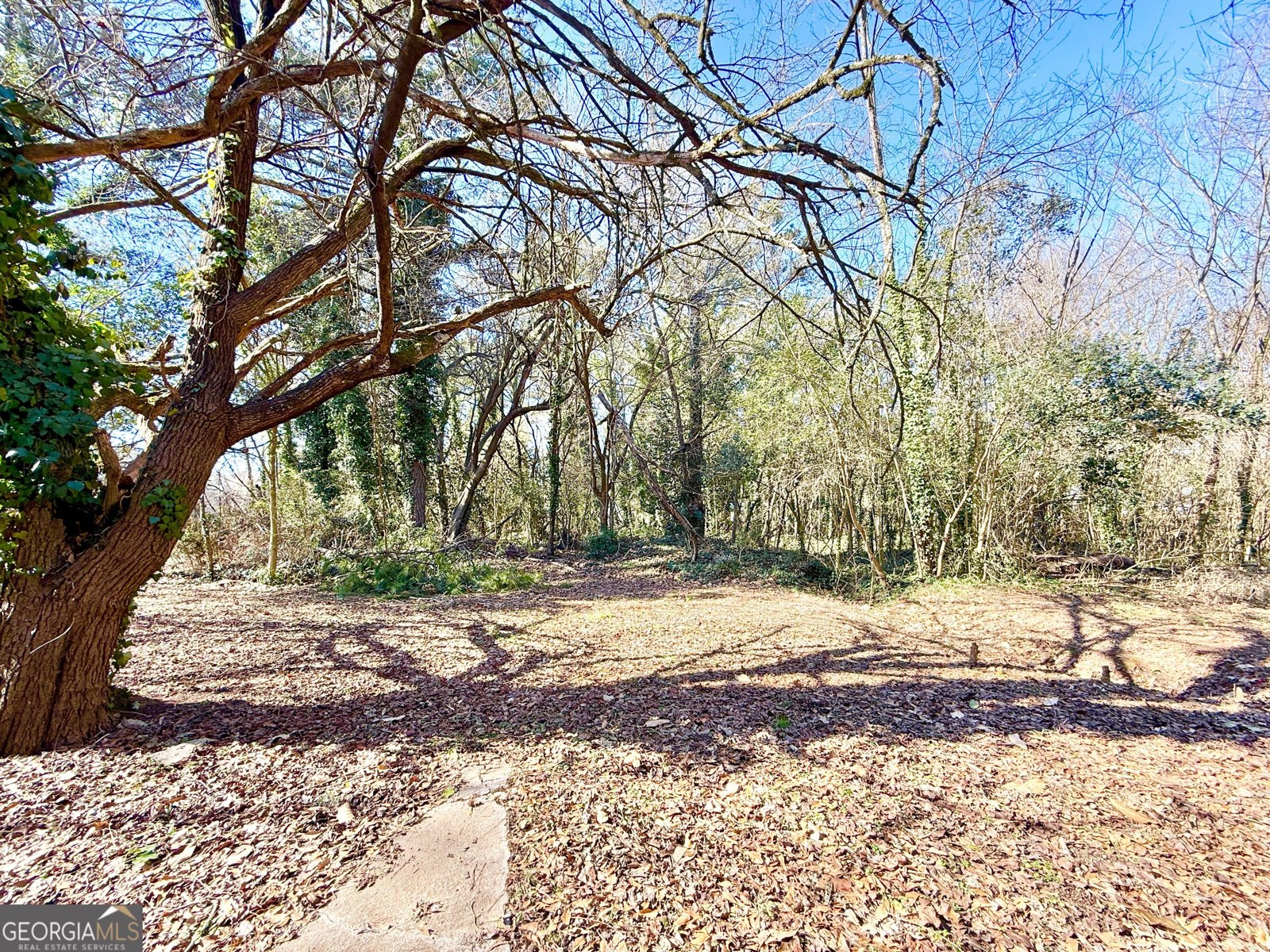 1924 Peters Road Tucker - Photo 7