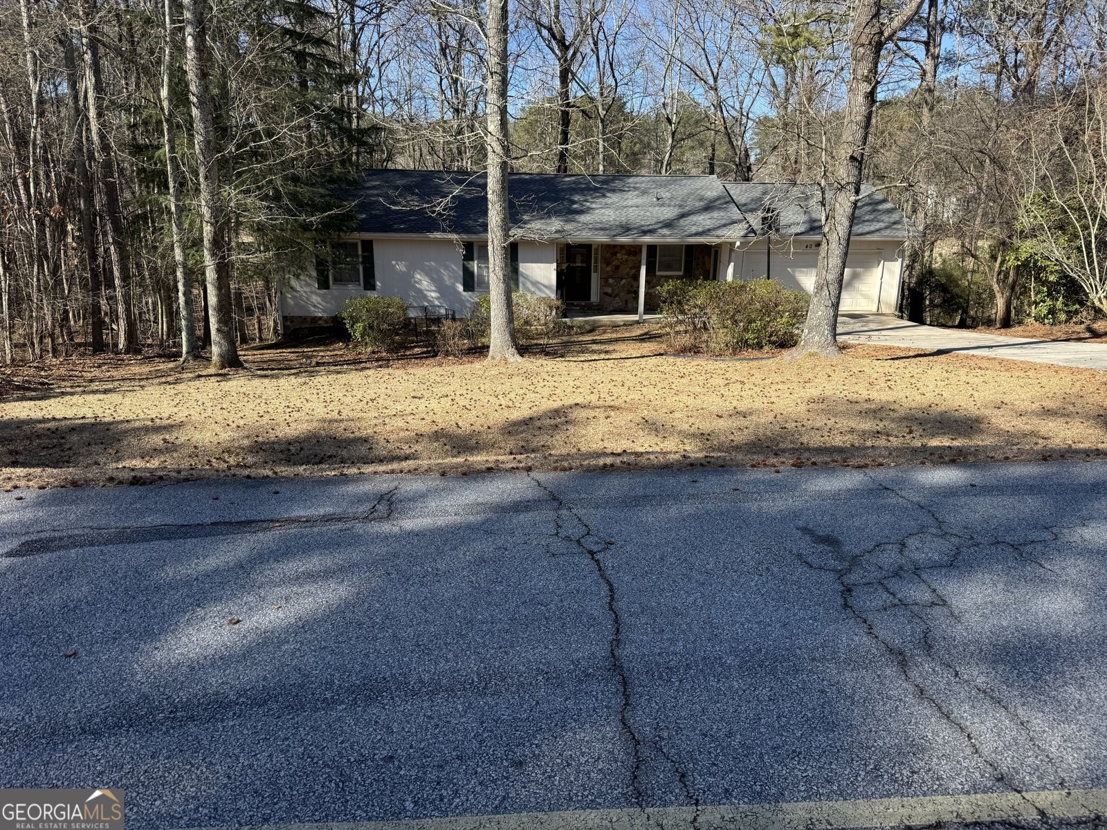 4055 Golfview Drive Villa Rica - Photo 1