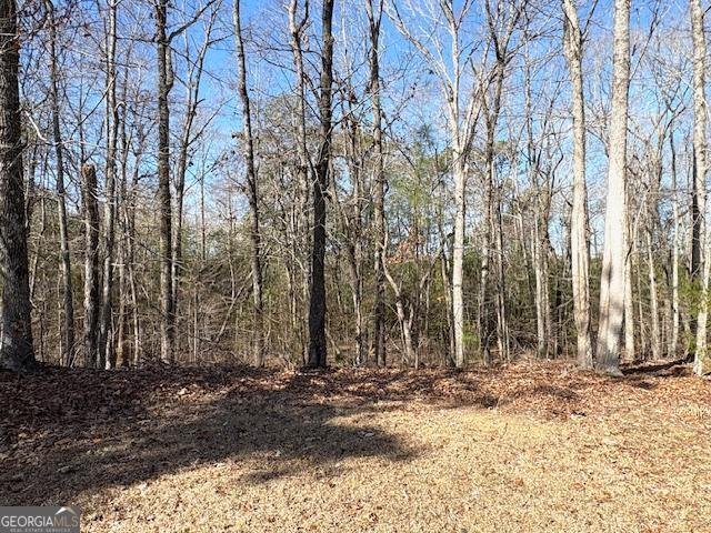 764 Hagans Mountain Road Meansville - Photo 29