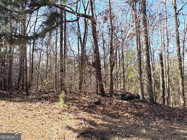 764 Hagans Mountain Road Meansville - Photo 30