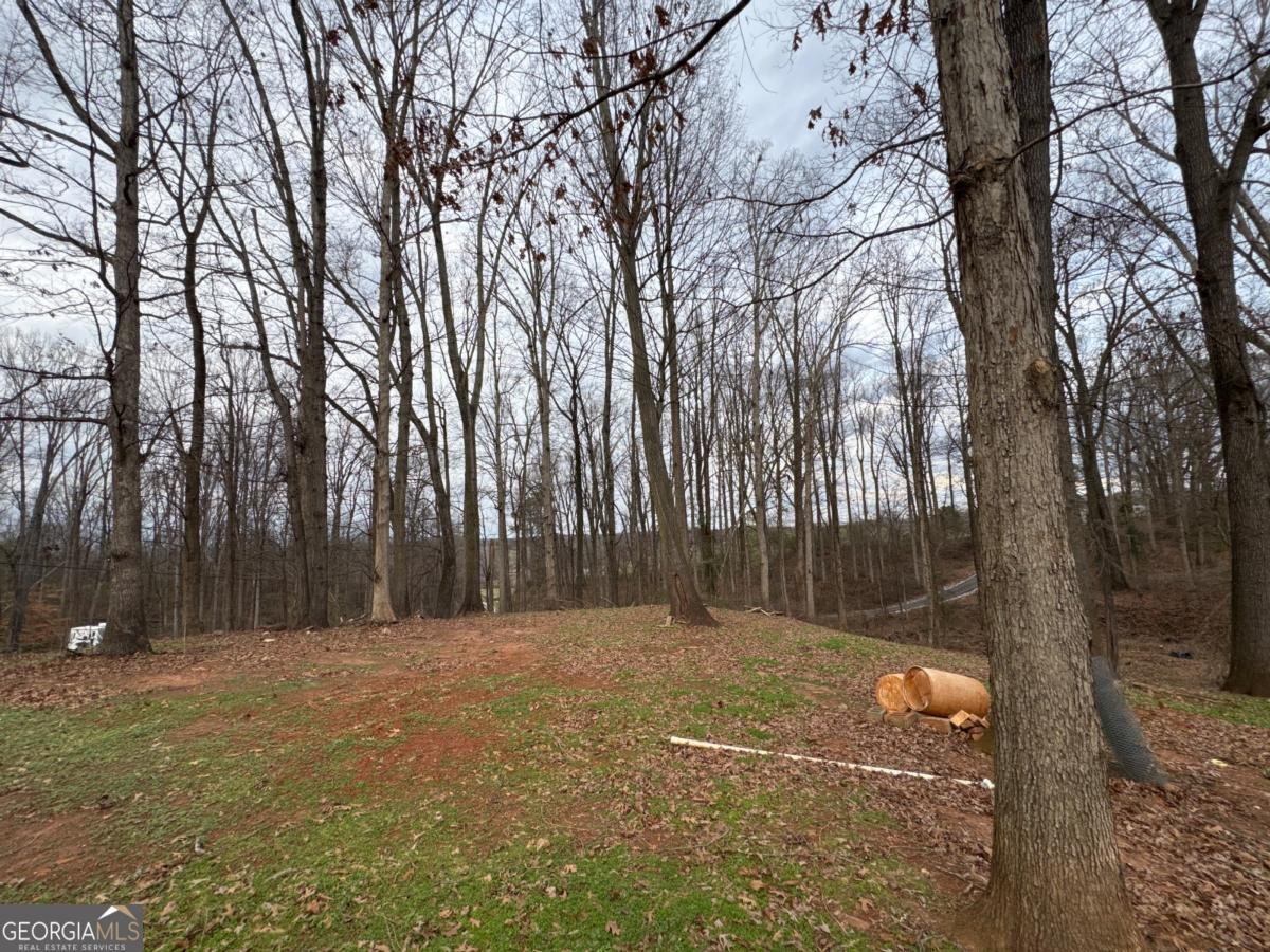 3911 Blackstock Road Talmo - Photo 17