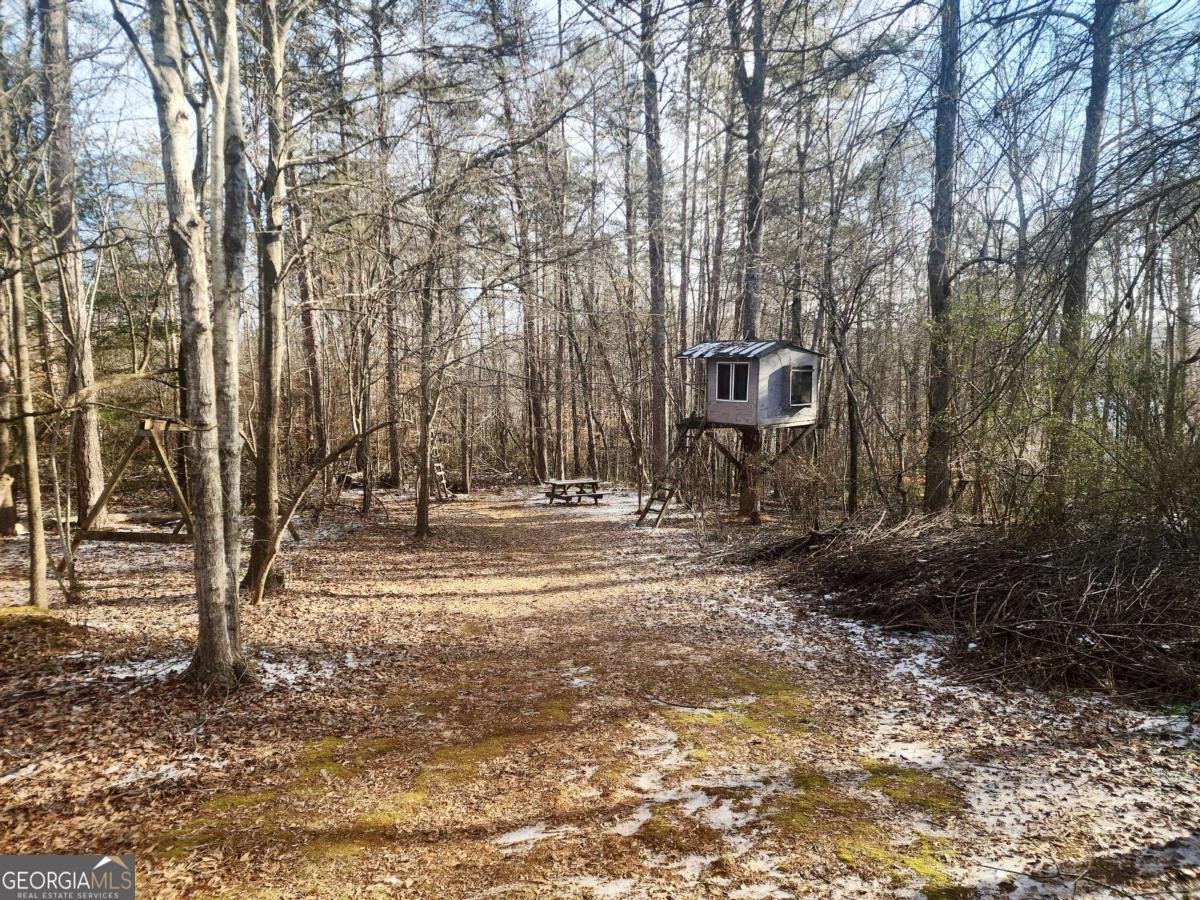 5720 Wade Whelchel Road Murrayville - Photo 40