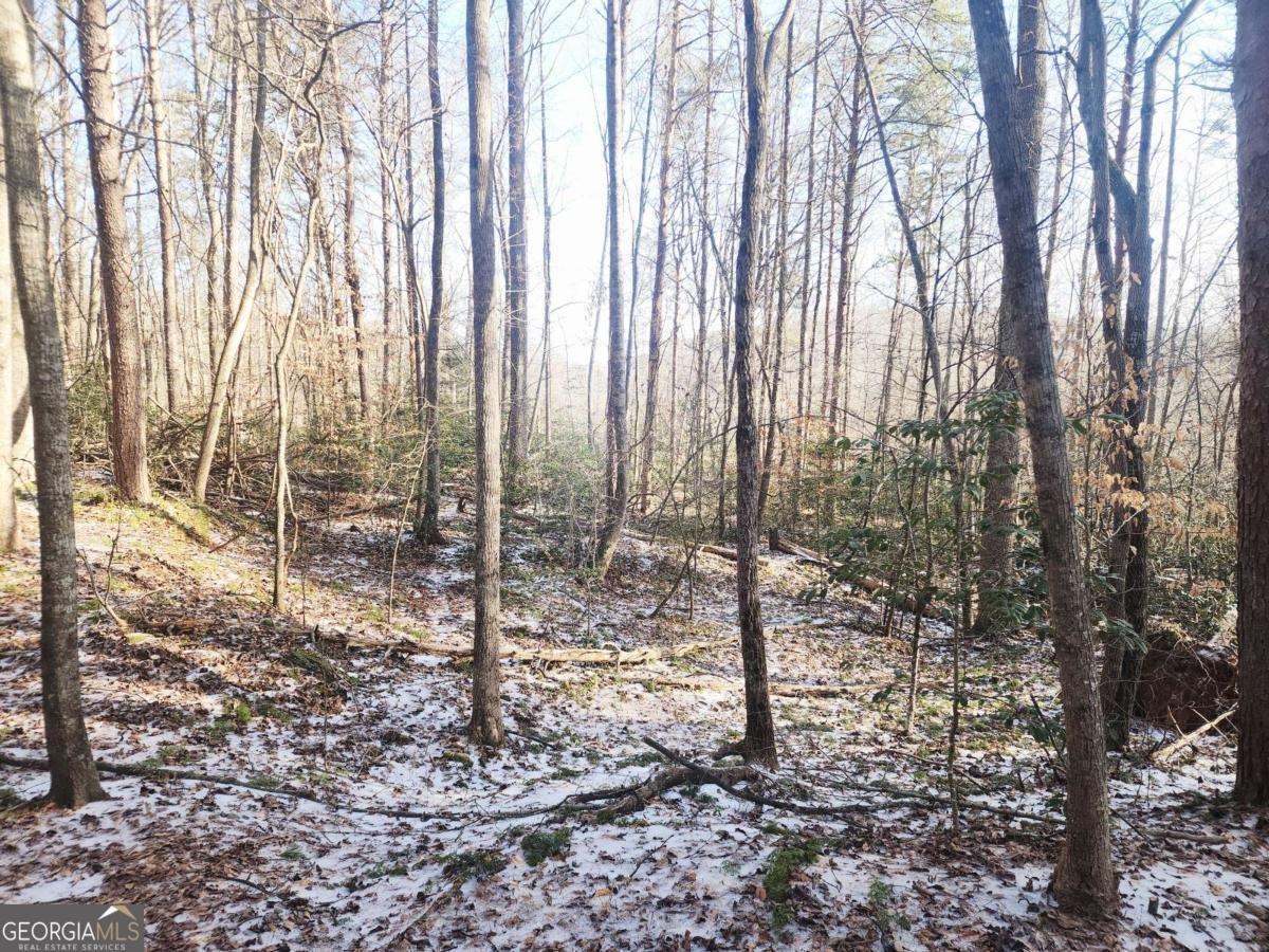 5720 Wade Whelchel Road Murrayville - Photo 43