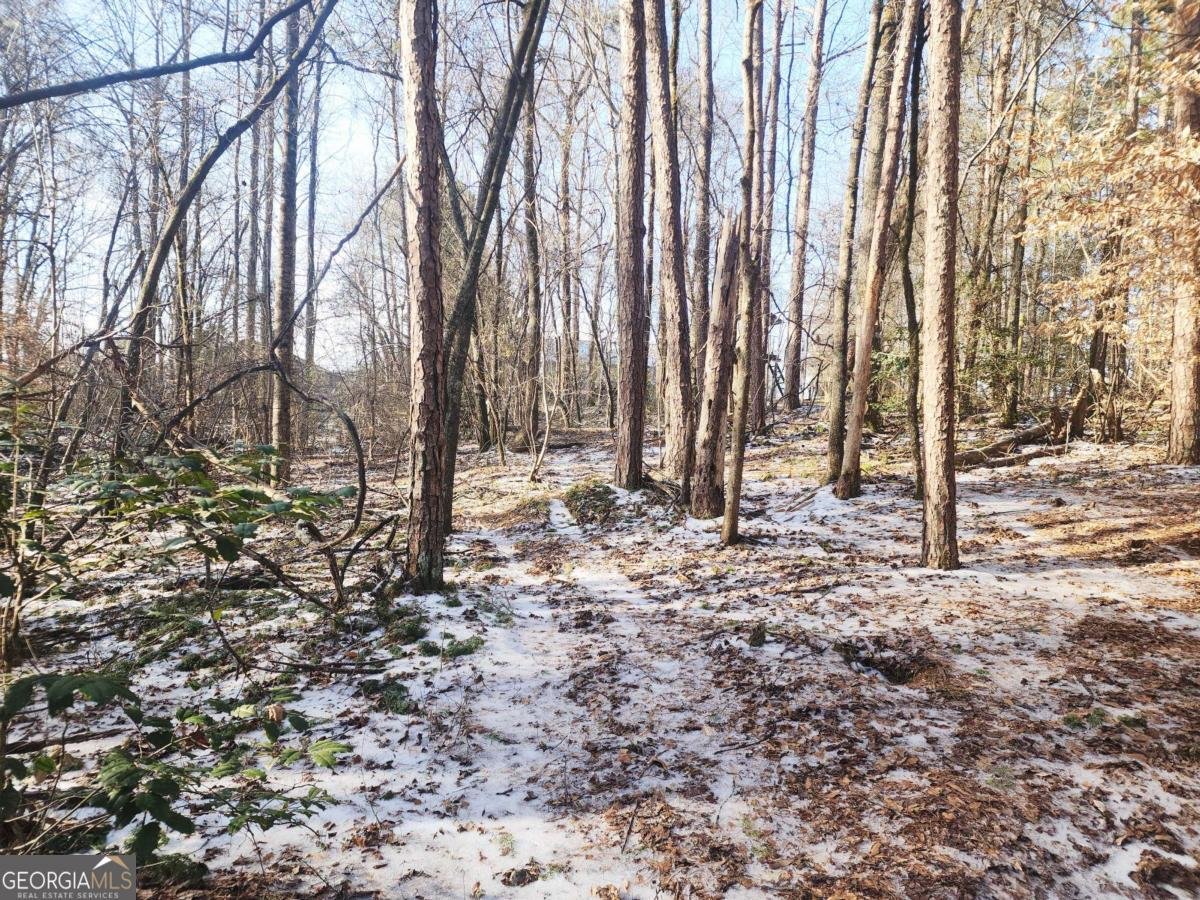 5720 Wade Whelchel Road Murrayville - Photo 45