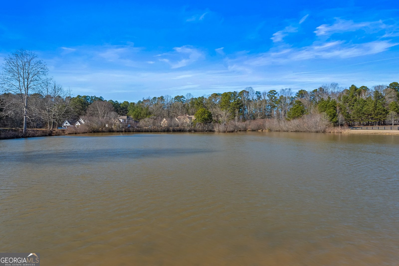 215 Berry Hill Lane Tyrone - Photo 48