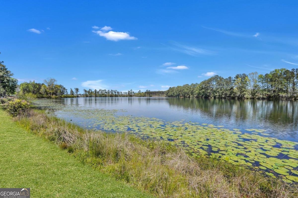 102 Cold Creek Pass Port Wentworth - Photo 44