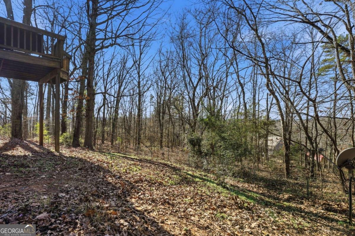18 Ridgeview Court Cartersville - Photo 24