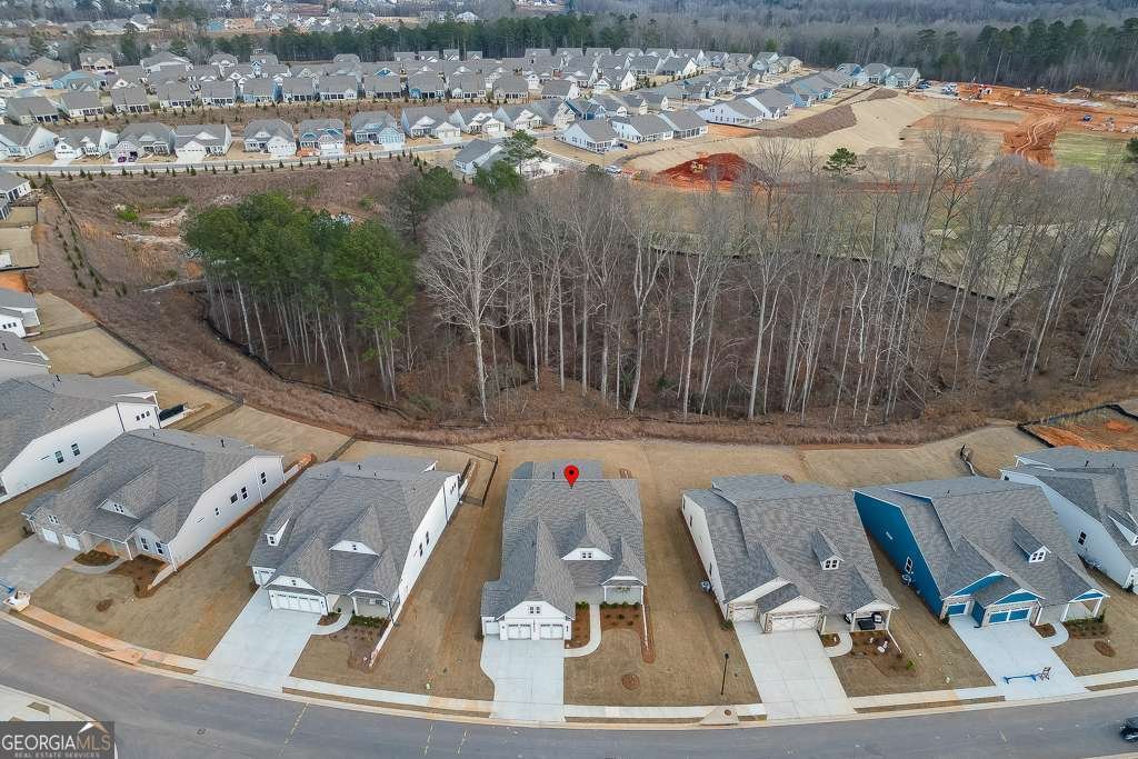 295 Conway Trail Hoschton - Photo 91