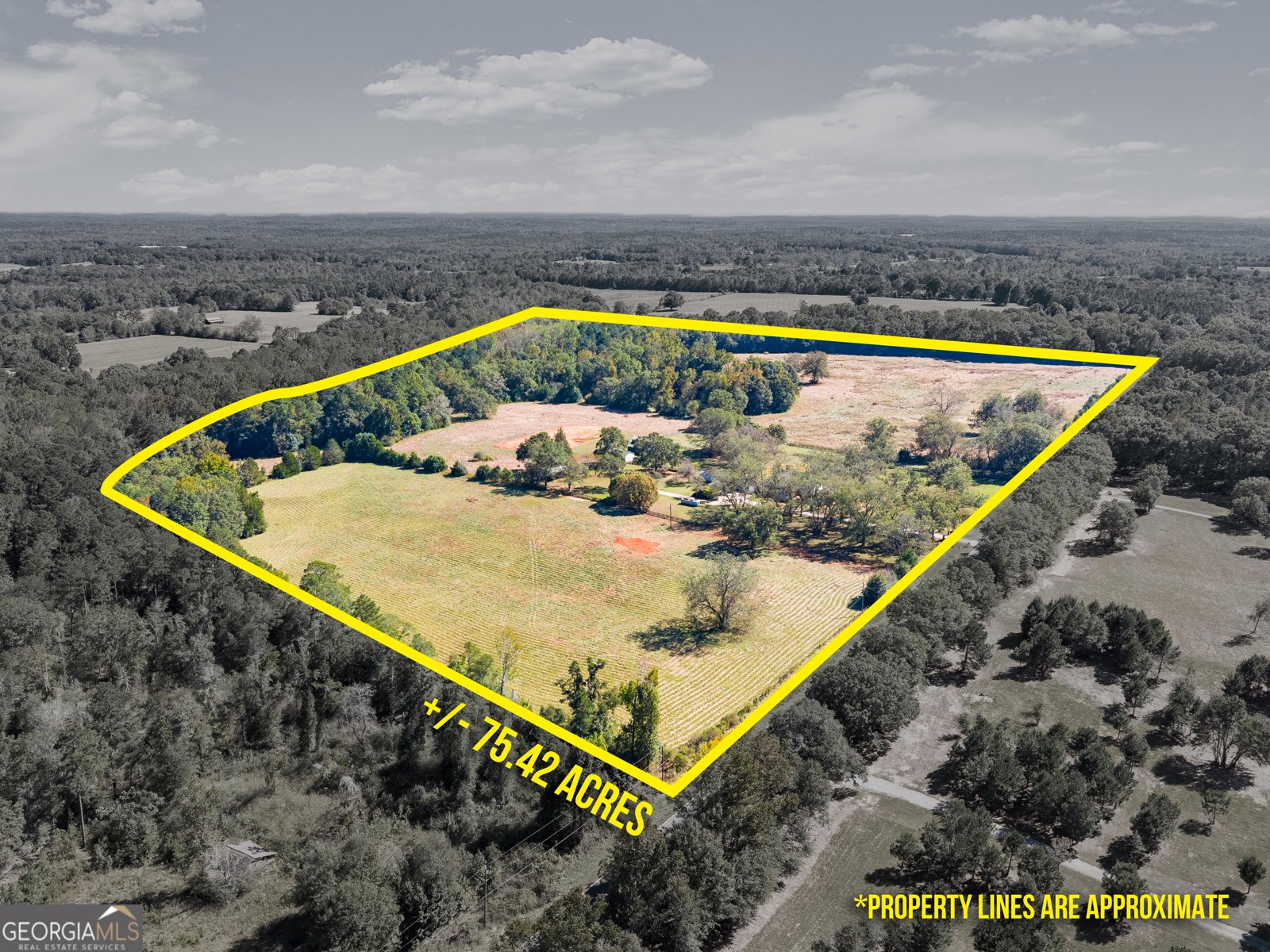 1972 Rest Haven Road Yatesville - Photo 47