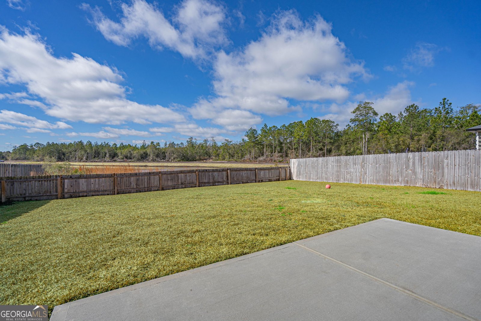 203 Alyssa Avenue Guyton - Photo 43