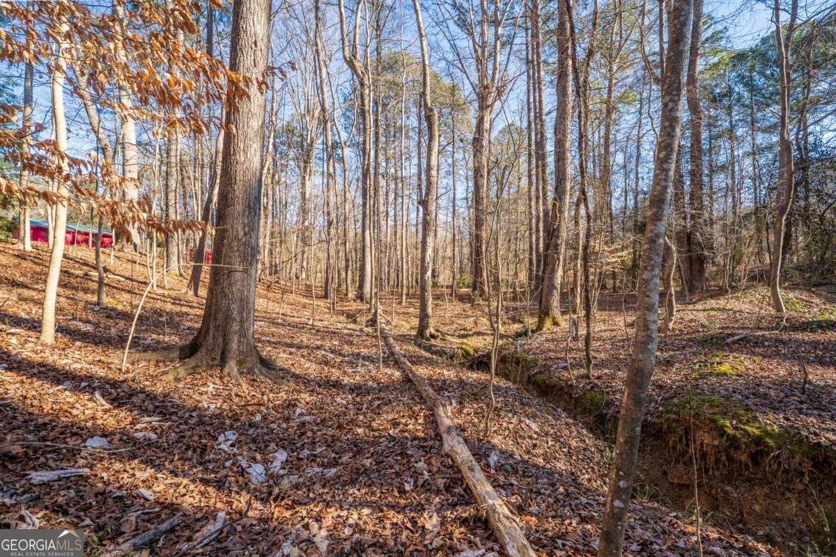 192 Saxon Court Canton - Photo 33