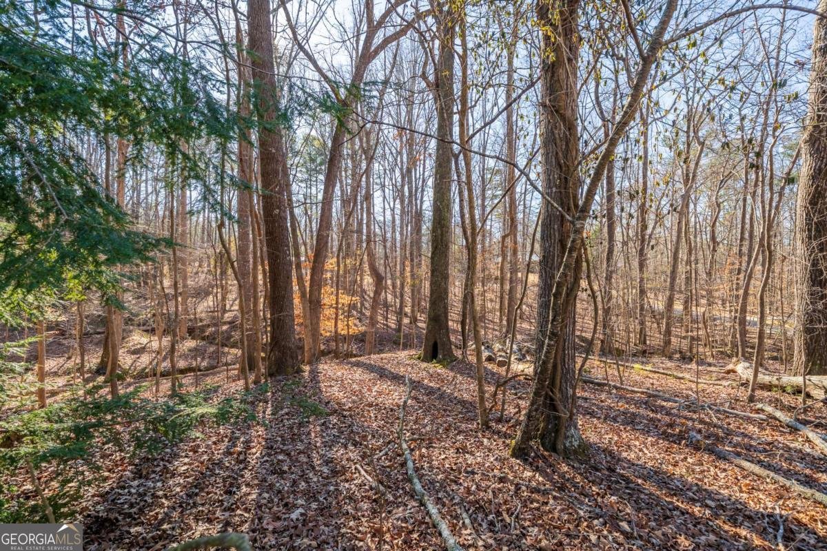 192 Saxon Court Canton - Photo 35