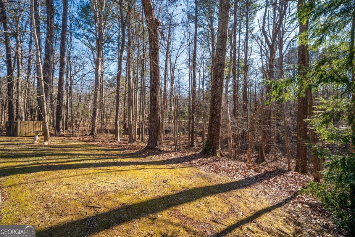 192 Saxon Court Canton - Photo 37