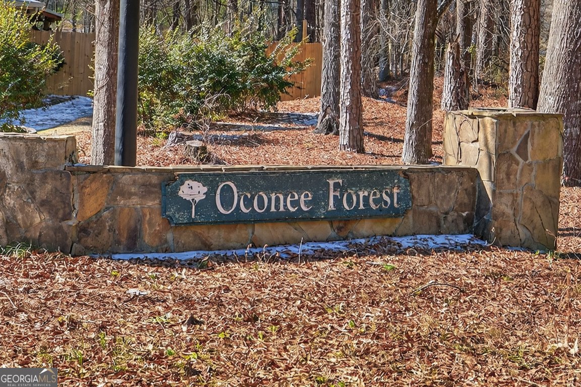 1011 Sharon Place Watkinsville - Photo 47