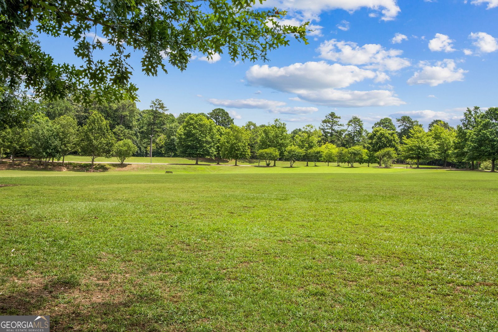 3083 Callie Still Road Lawrenceville - Photo 63