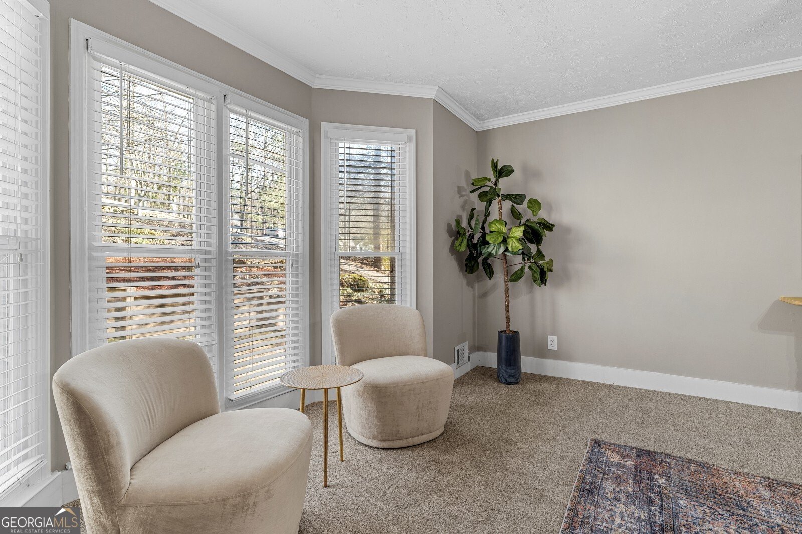 319 Scarlett Lane Woodstock - Photo 17