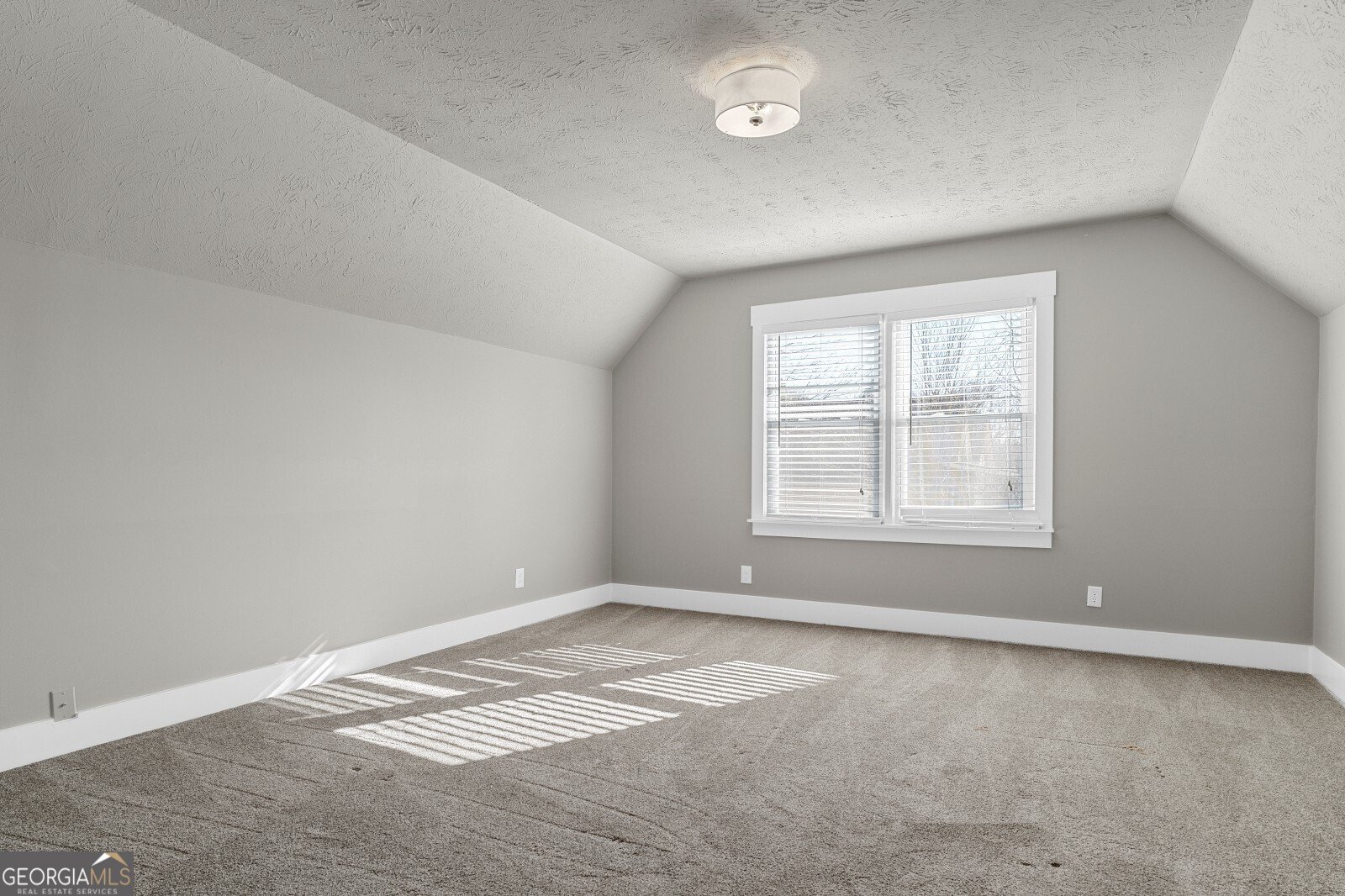 319 Scarlett Lane Woodstock - Photo 24