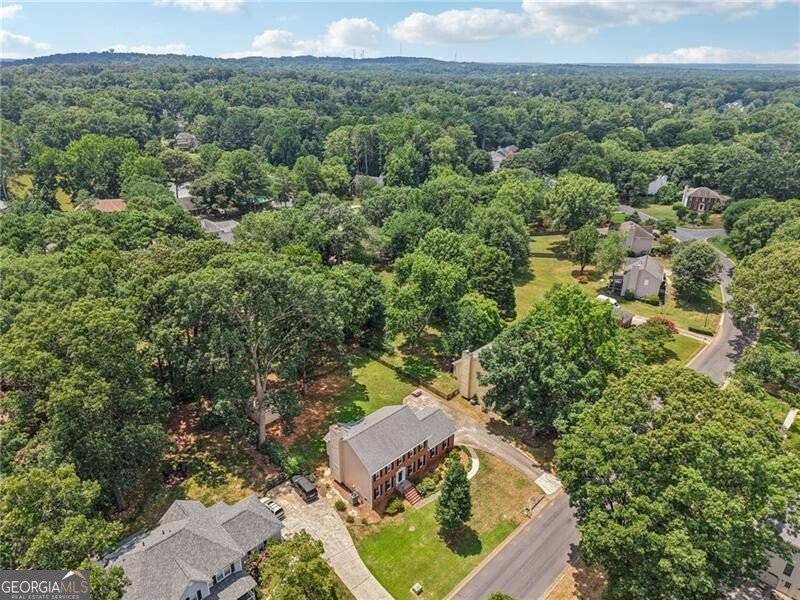 2412 Meadowglen Trail Snellville - Photo 54