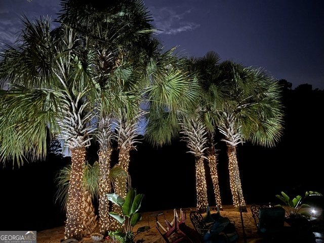 5336 Channel Drive Gillsville - Photo 56