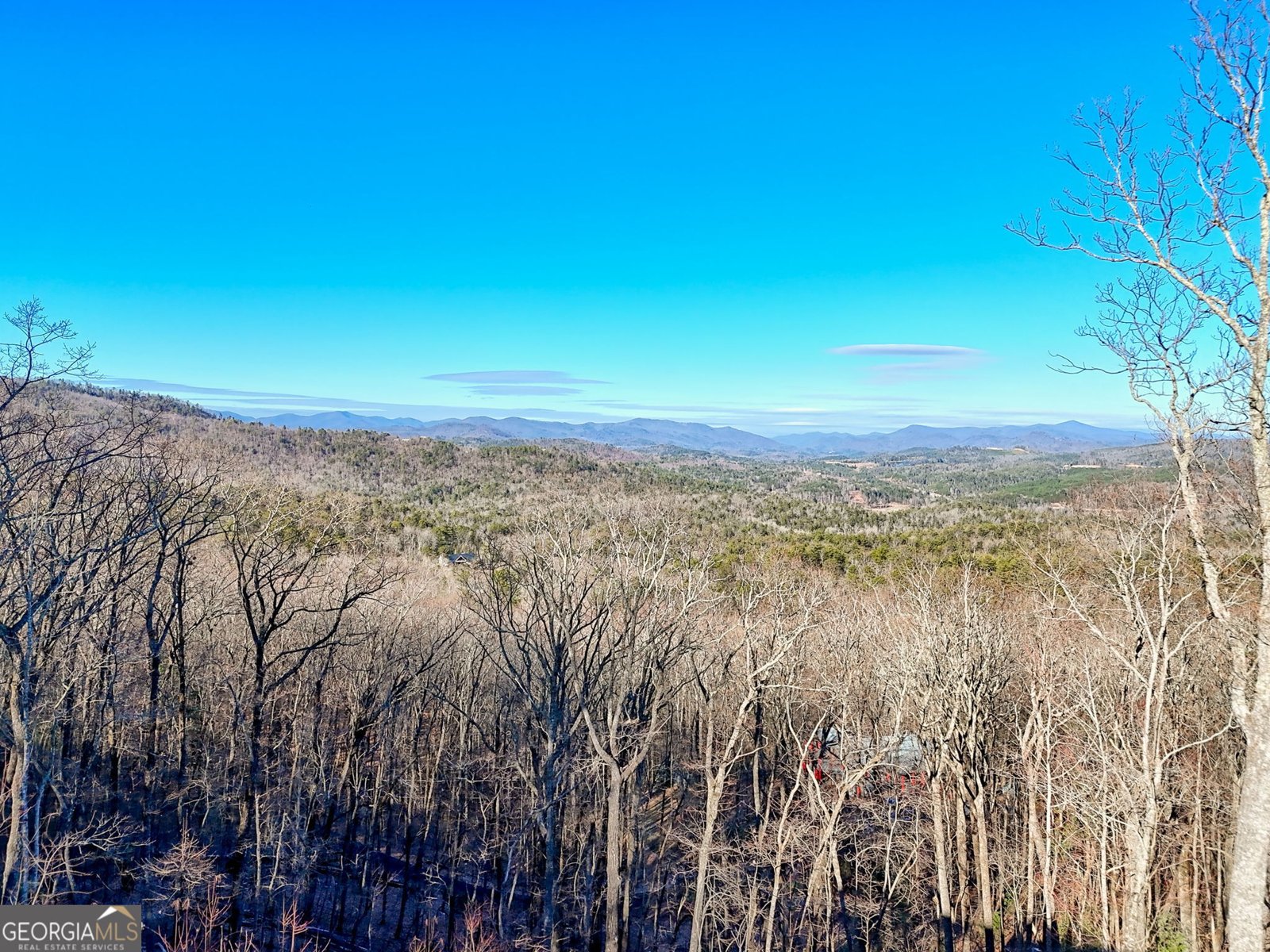 916 Arbor Drive Lakemont - Photo 63