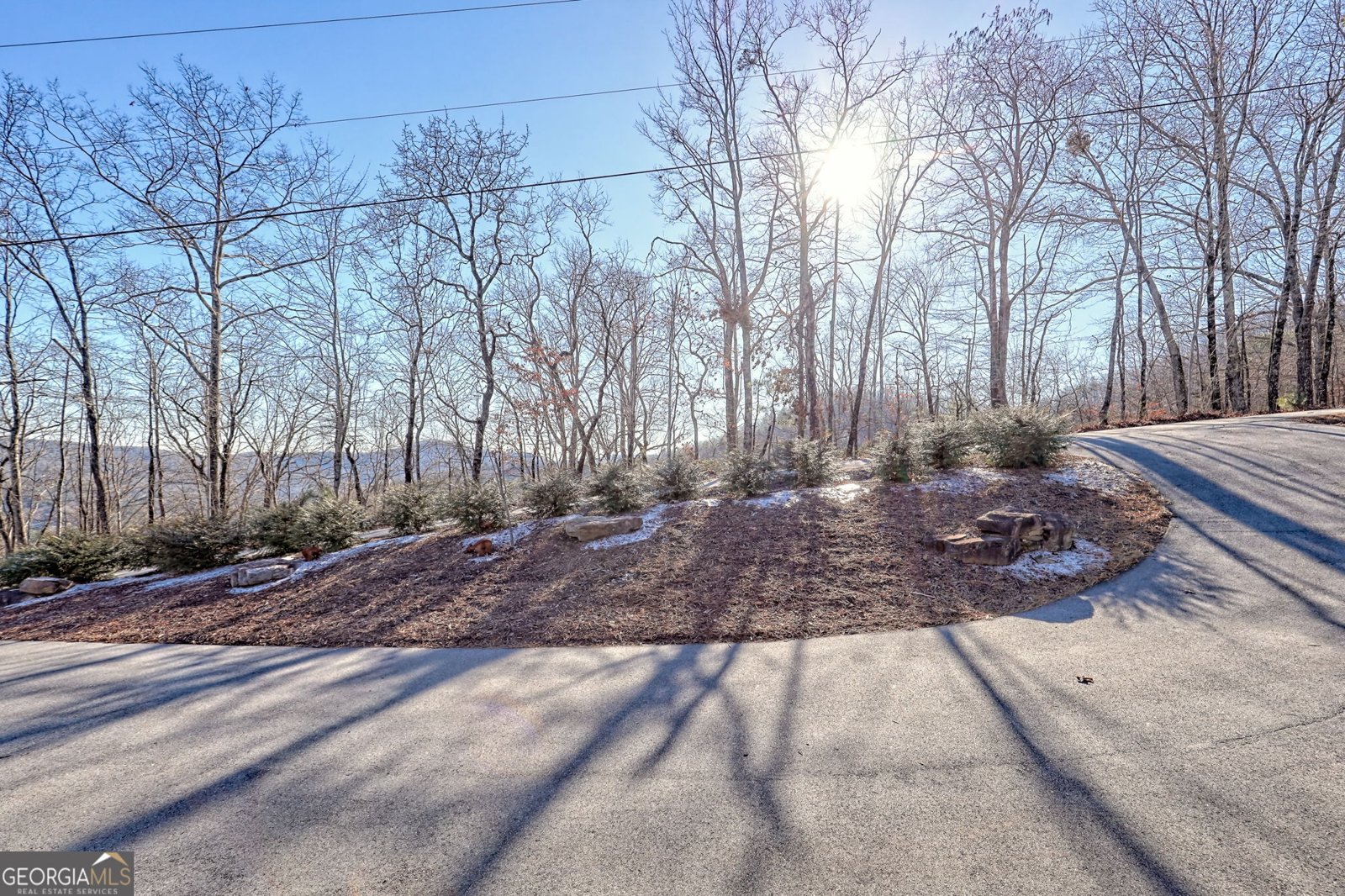 916 Arbor Drive Lakemont - Photo 64