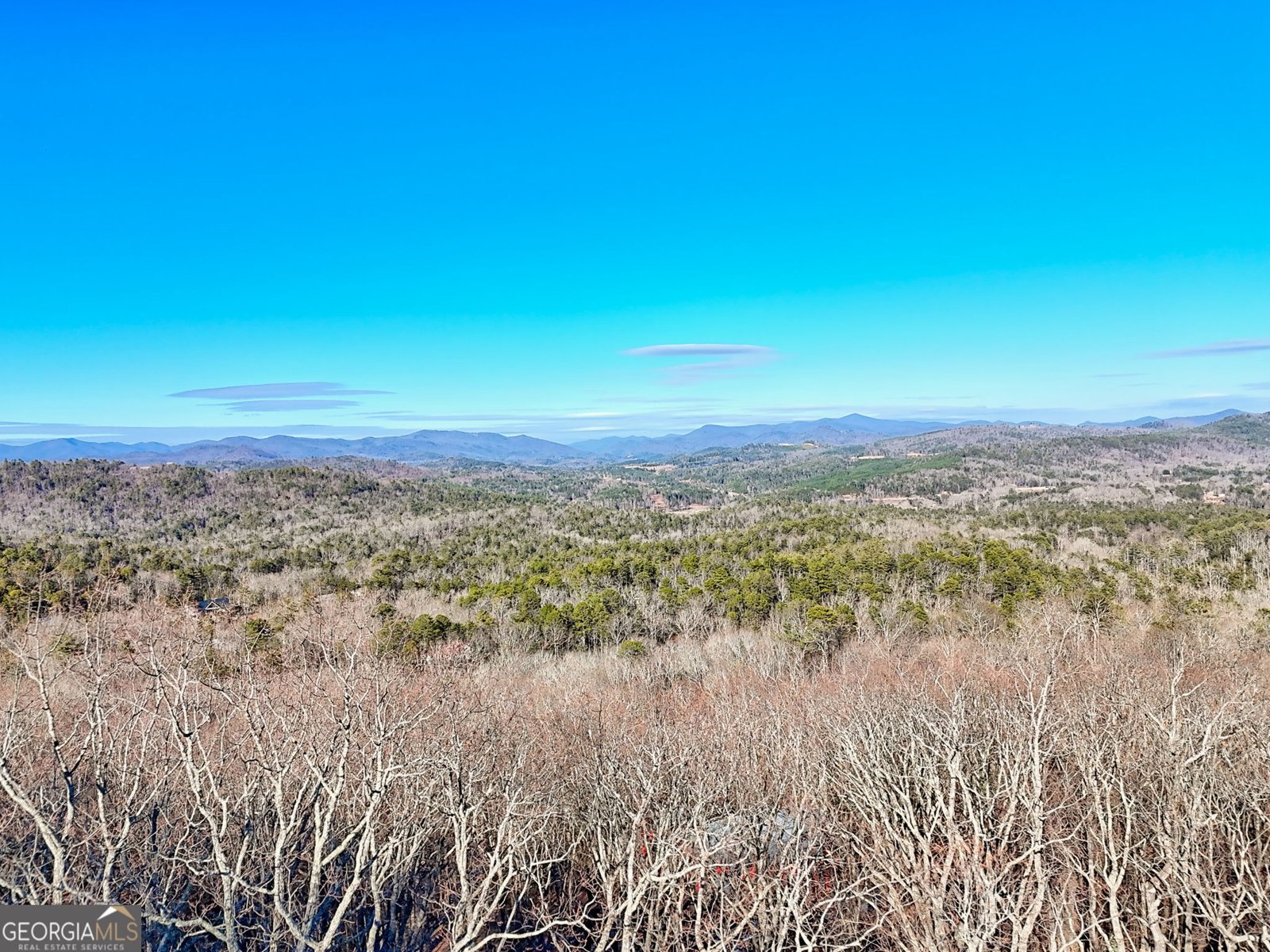 916 Arbor Drive Lakemont - Photo 65