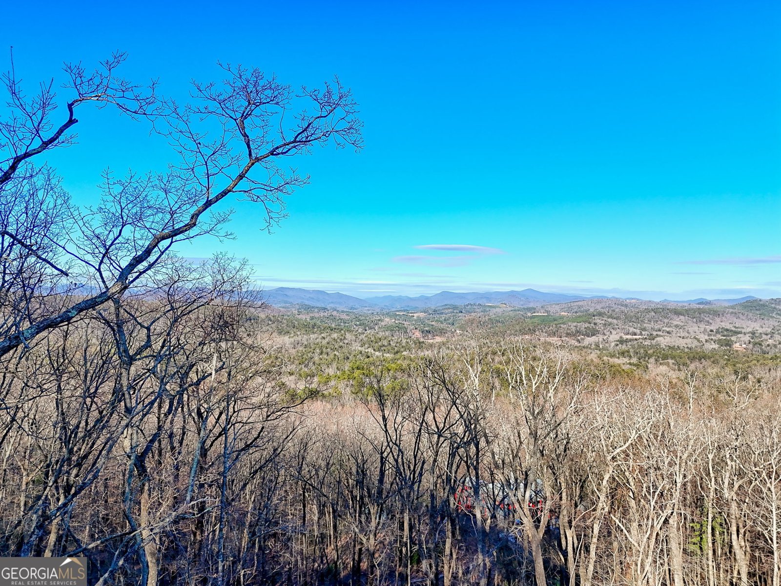 916 Arbor Drive Lakemont - Photo 71