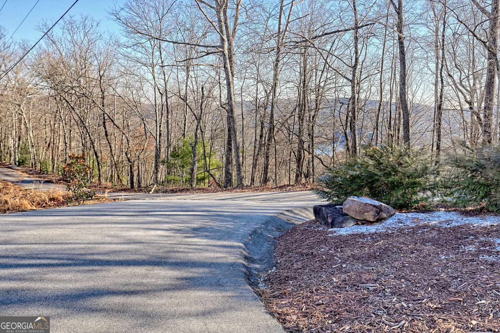 916 Arbor Drive Lakemont - Photo 78